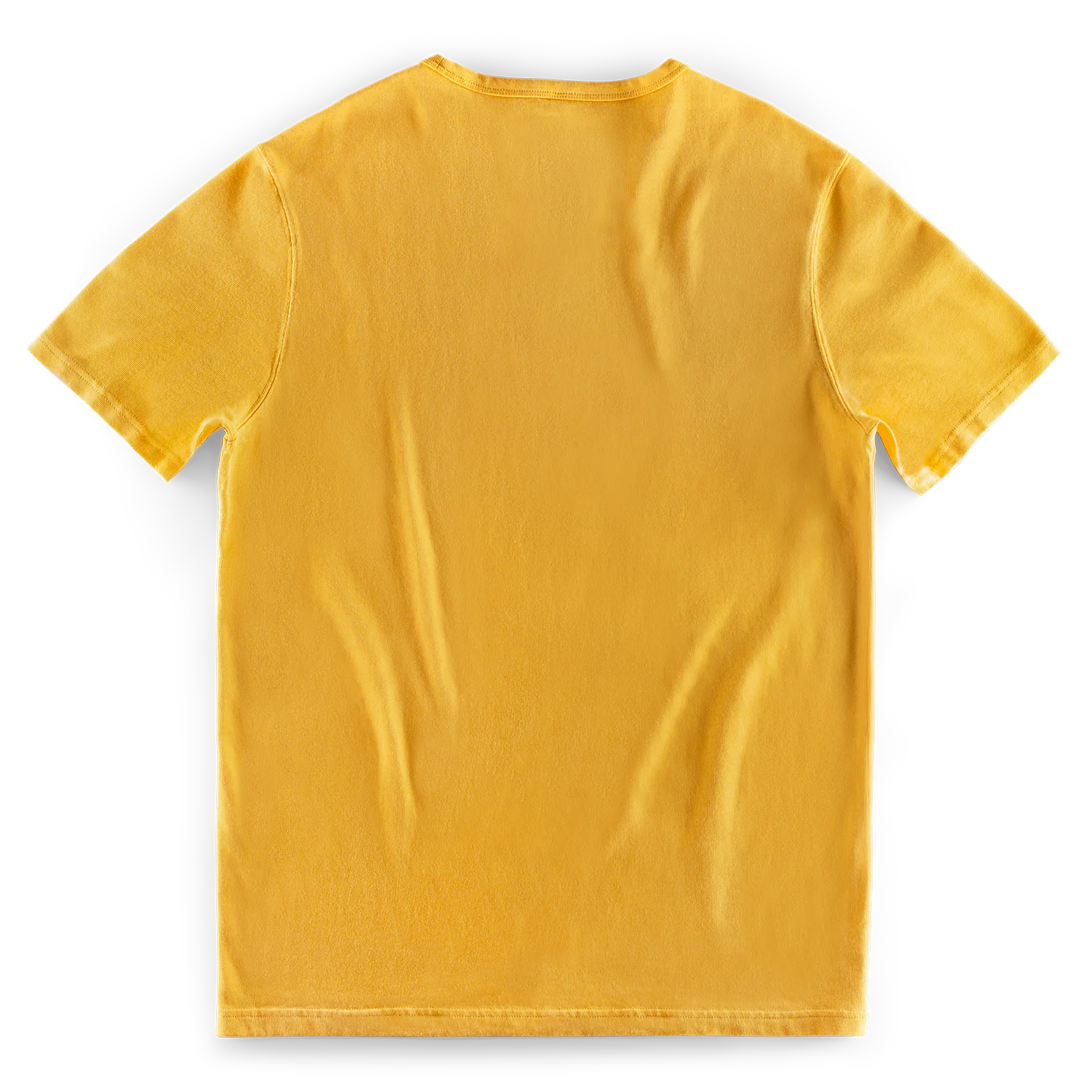 Bison T-Shirt Old Gold - Image 6
